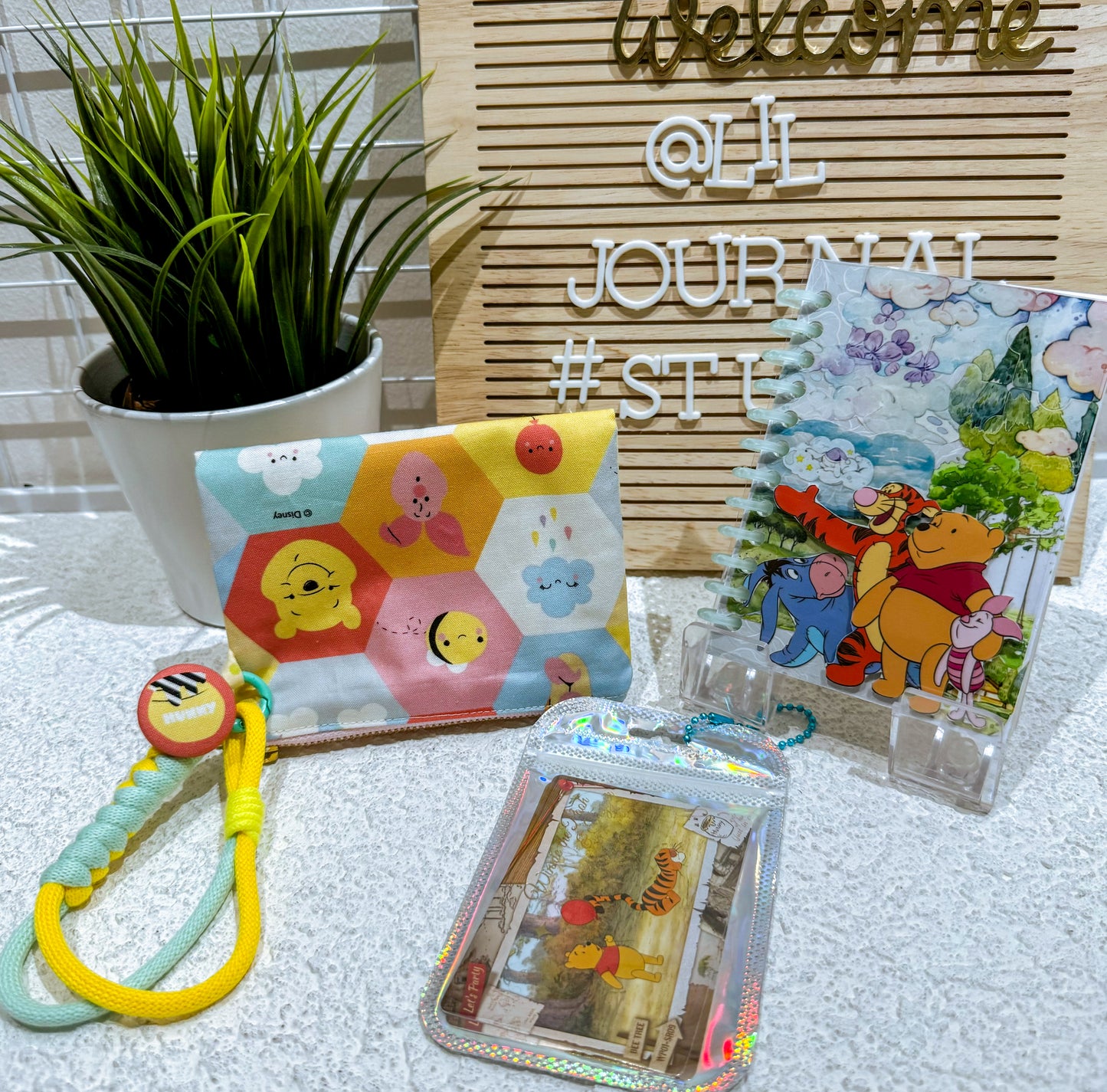Disney Mystery Bags - Aug 2024