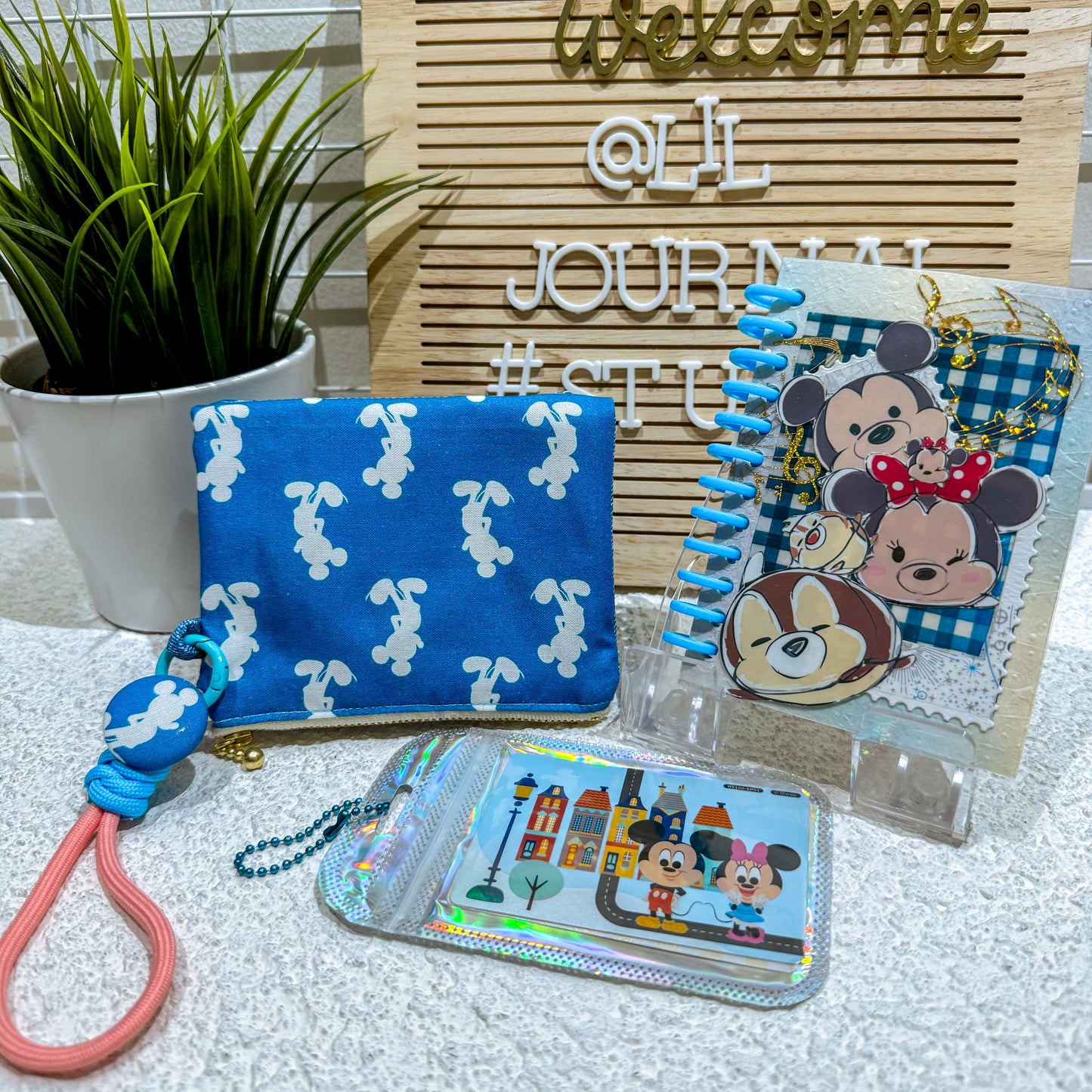 Disney Mystery Bags - Aug 2024