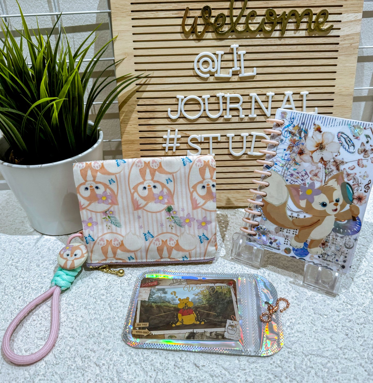 Disney Mystery Bags - Aug 2024