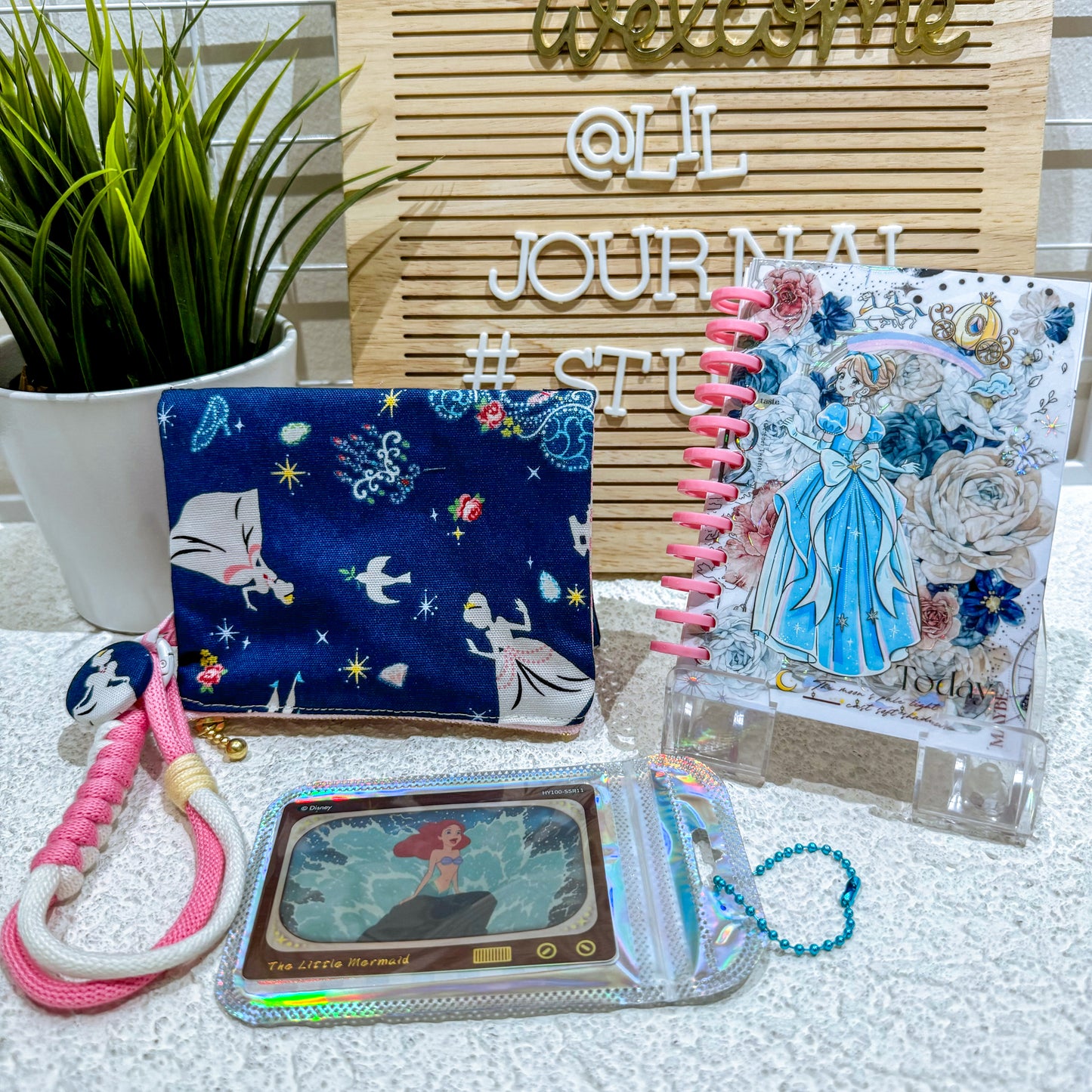 Disney Mystery Bags - Aug 2024