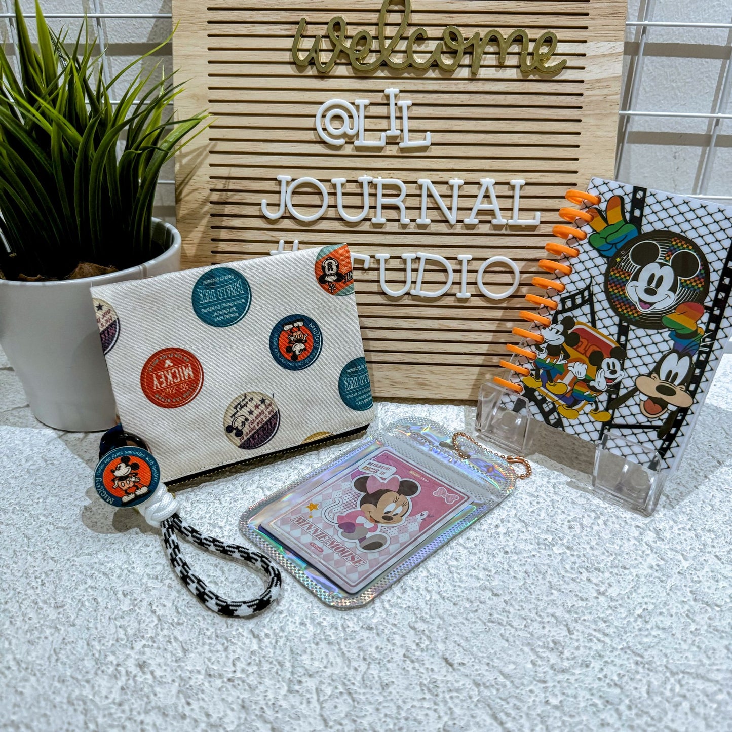 Disney Mystery Bags - Aug 2024