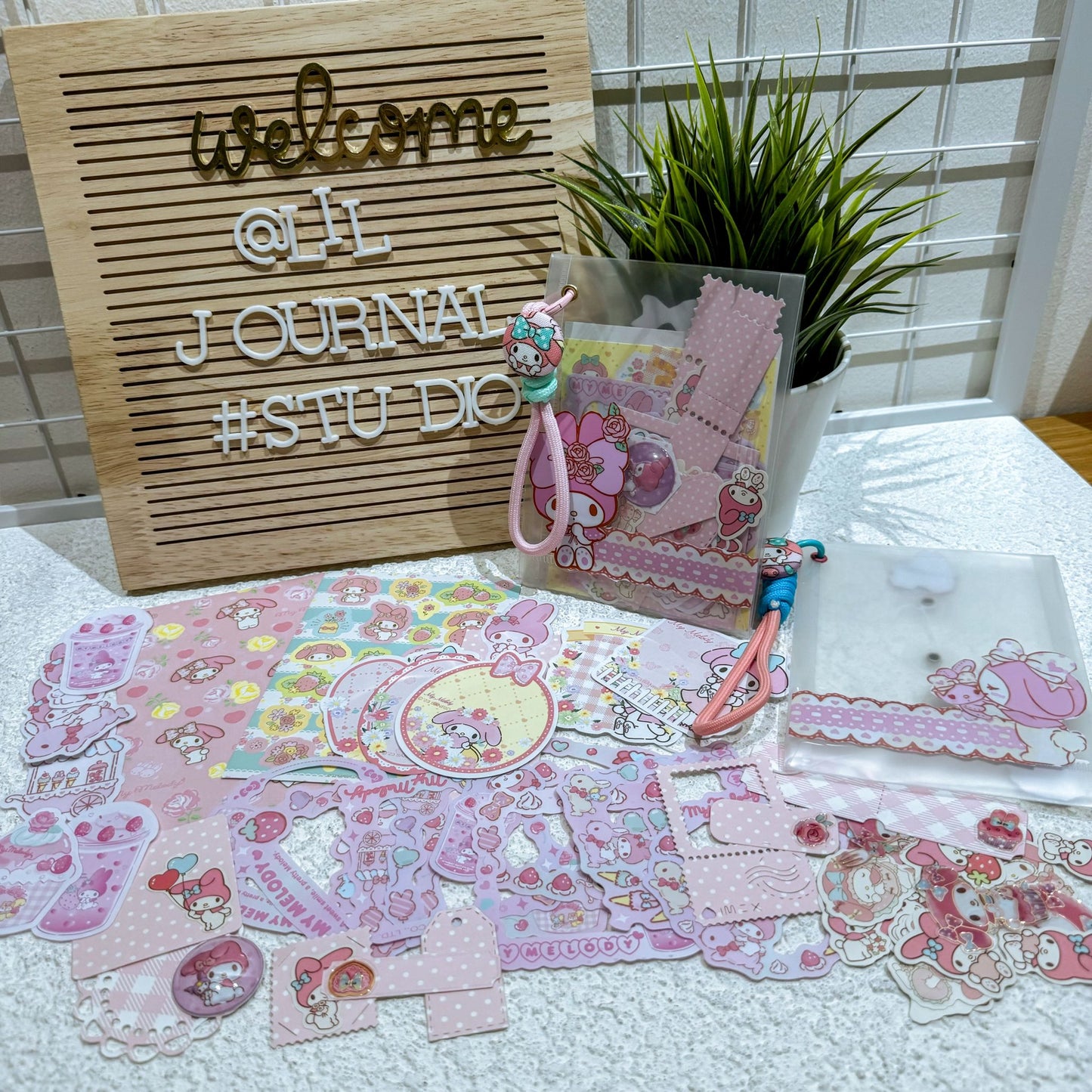 *No Frills* Sanrio Ephemera Folder